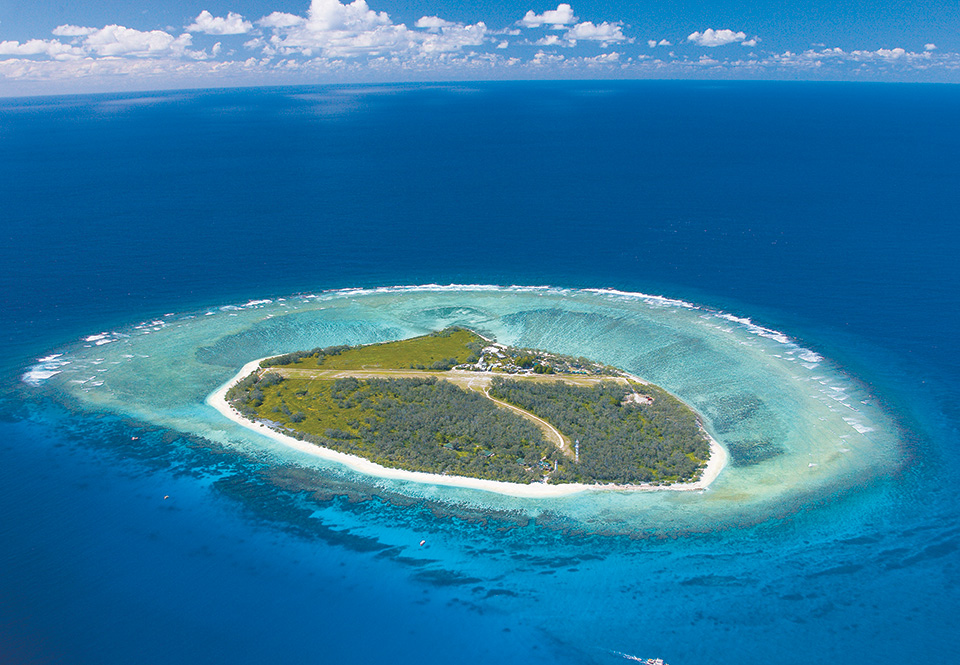 lady elliot island updated